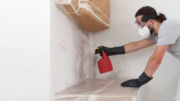Professional Attic Mold Removal technician working in Vincentown, NJ