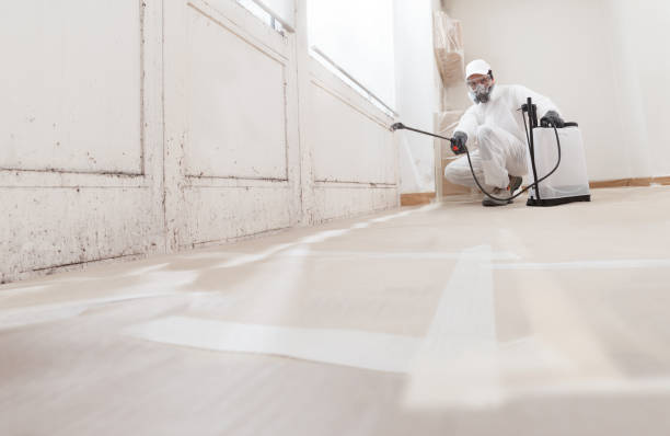 24/7 Emergency Attic Mold Removal experts in Vincentown, NJ