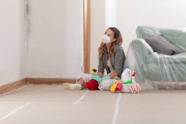 Reliable Attic Mold Removal contractor in Vincentown, NJ by WQB Mold Removal